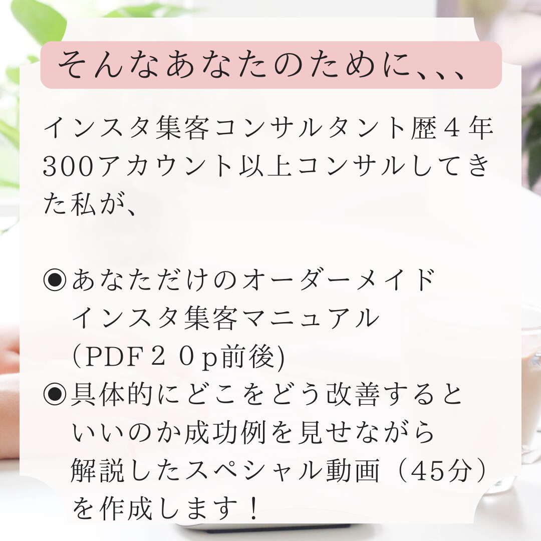 集客に直結するインスタ攻略マニュアルをお作りします あなただけのインスタ運用最適化資料と解説動画を作成します。 イメージ4