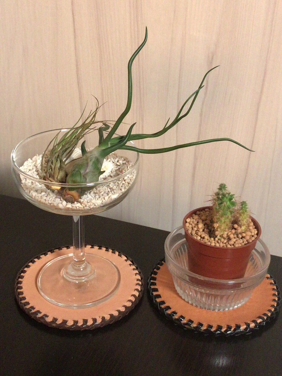 レザークラフトの基本的な技術を教えます レザークラフトを始めたい！そんなあなたへ イメージ10