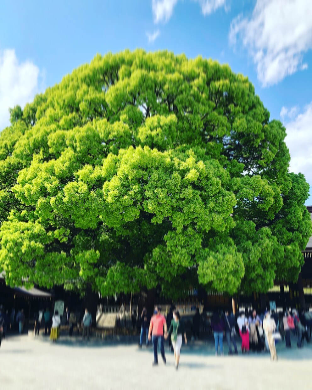 あなたの悩み、愚痴、モヤモヤを聞きます お話をして、心を軽くしませんか？ イメージ1