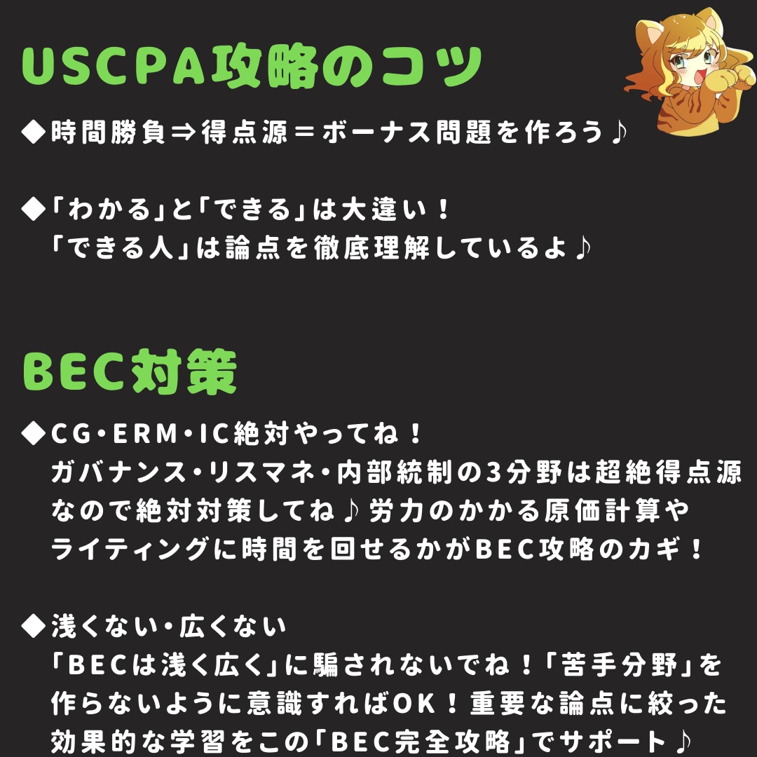 USCPA合格者がBEC攻略ノートを販売します 7ヶ月でUSCPA全科目合格のノウハウを凝縮した完全攻略本 イメージ2