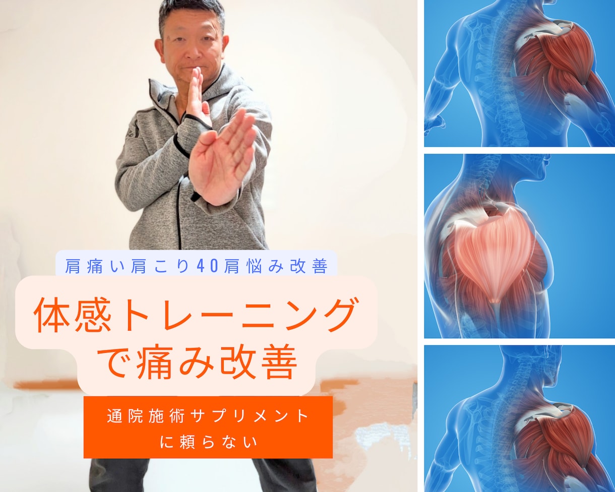 体感トレーニングで肩痛、肩こり自身で改善できます 体感トレーニングで痛み改善を学ぶ通院、施術、サプリに頼らない イメージ1