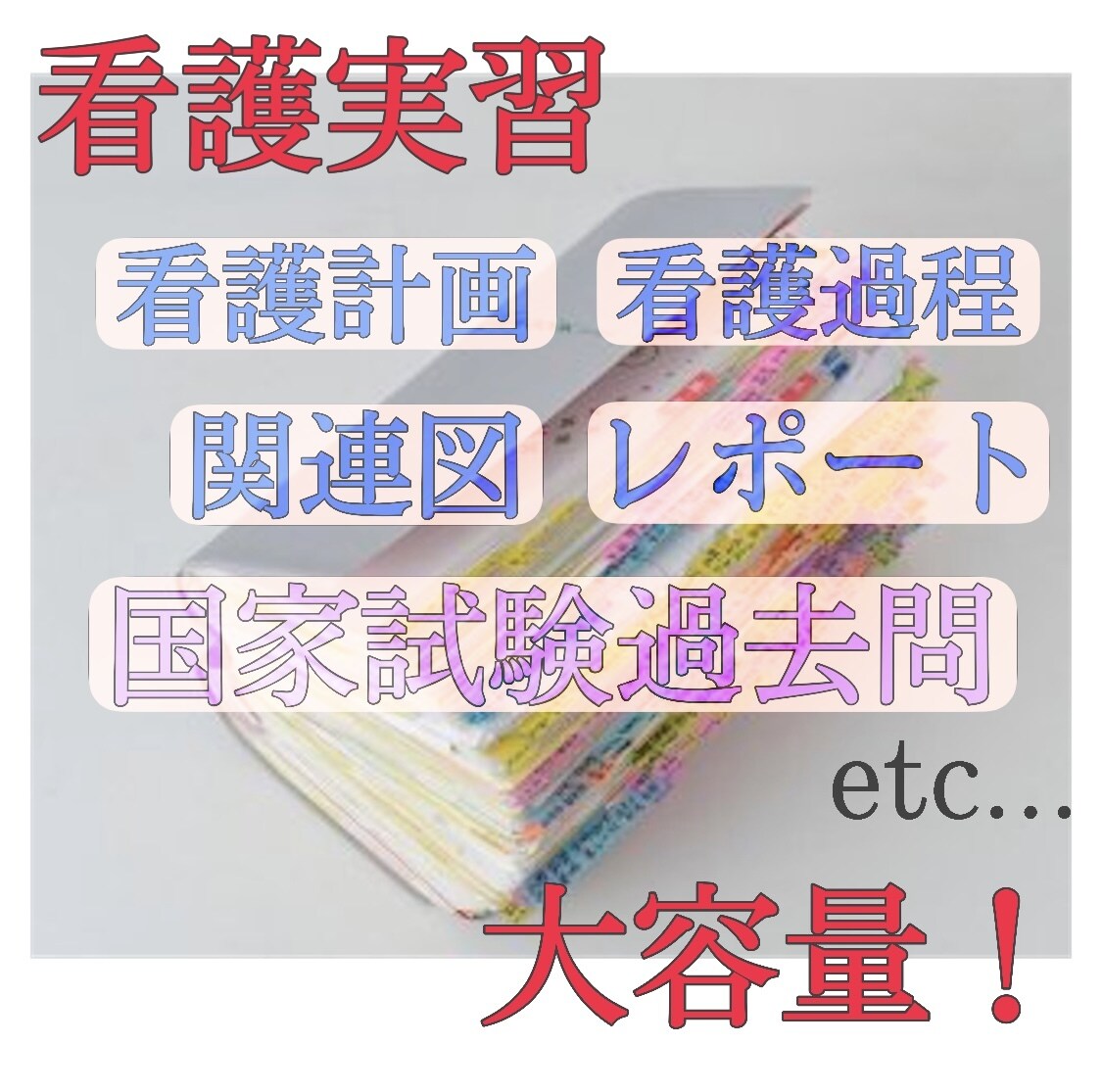 看護学生の勉強、実習のサポートします 看護実習 看護計画・診断 関連図 アセスメントケースレポート イメージ1