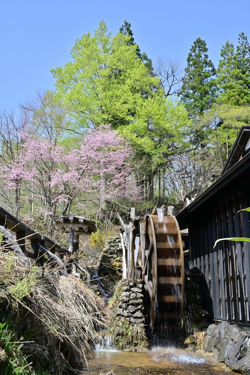 乳頭温泉・秘湯鶴の湯の写真を提供します 乳頭温泉・秘湯鶴の湯は、4つの異なる源泉を持つ イメージ1