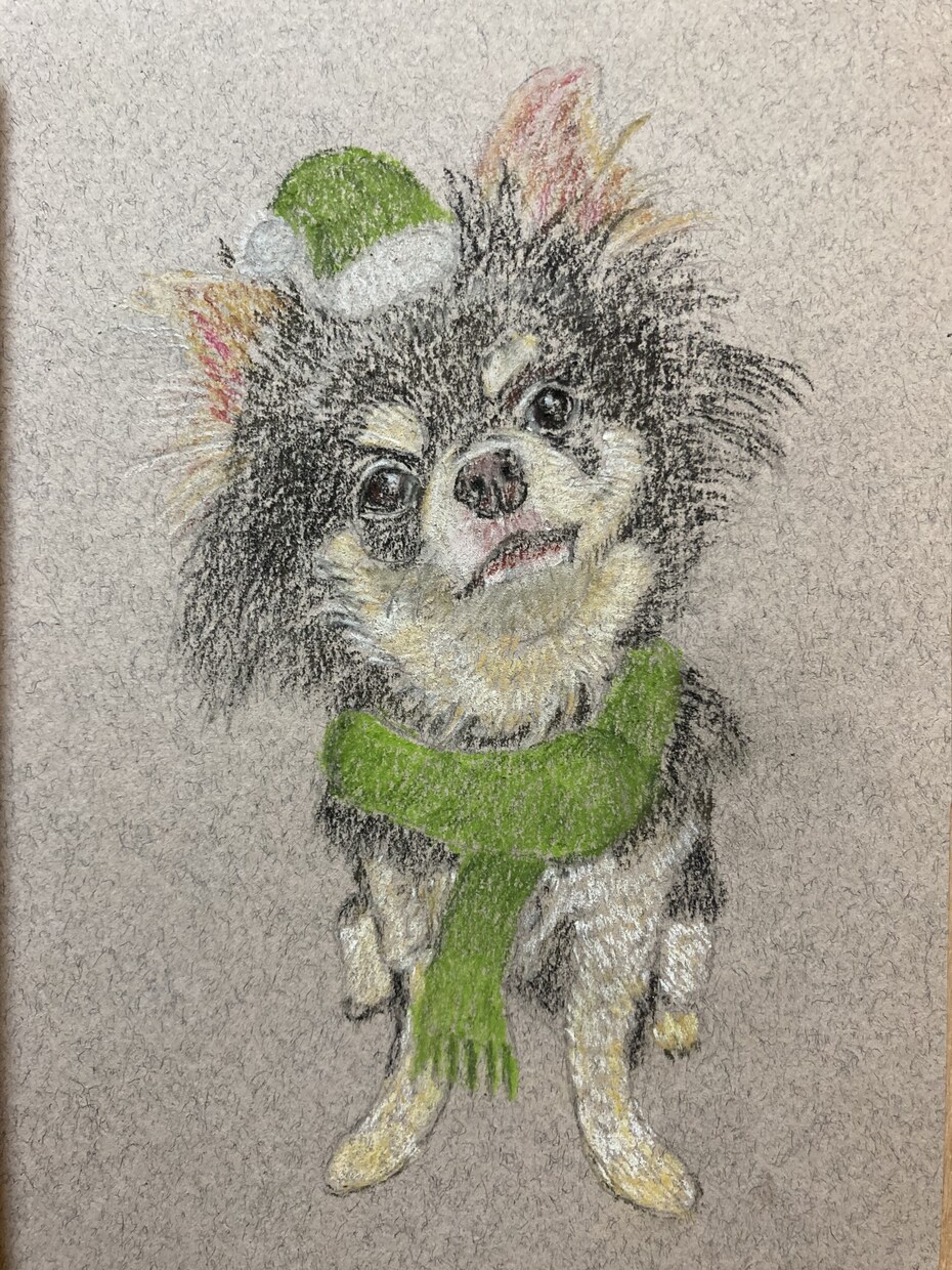 あなたのワンちゃんを冬らしく冬の装いで描きます あなたのワンちゃんを冬の装いで可愛く描きます。 イメージ3
