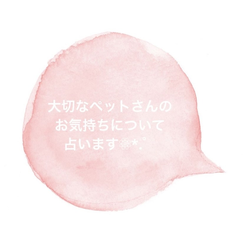 大切なペットさんのお気持ちについて占います ペットさんの心に、じっくり向き合わせてください( ¨̮ ) イメージ2