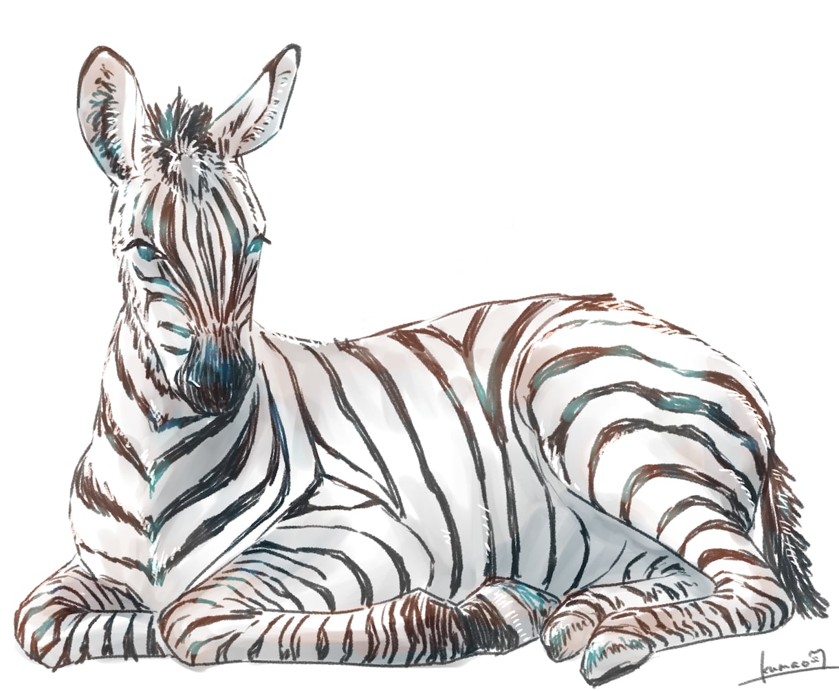 SNS等アイコンなどの動物イラスト描きます ペットや好きな動物をアイコンにしませんか？ イメージ1