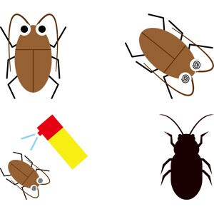 害虫や害獣お困りの方はいませんかその悩み解決します 業界歴10年の知識と経験を持ってアドバイス致します。 イメージ1