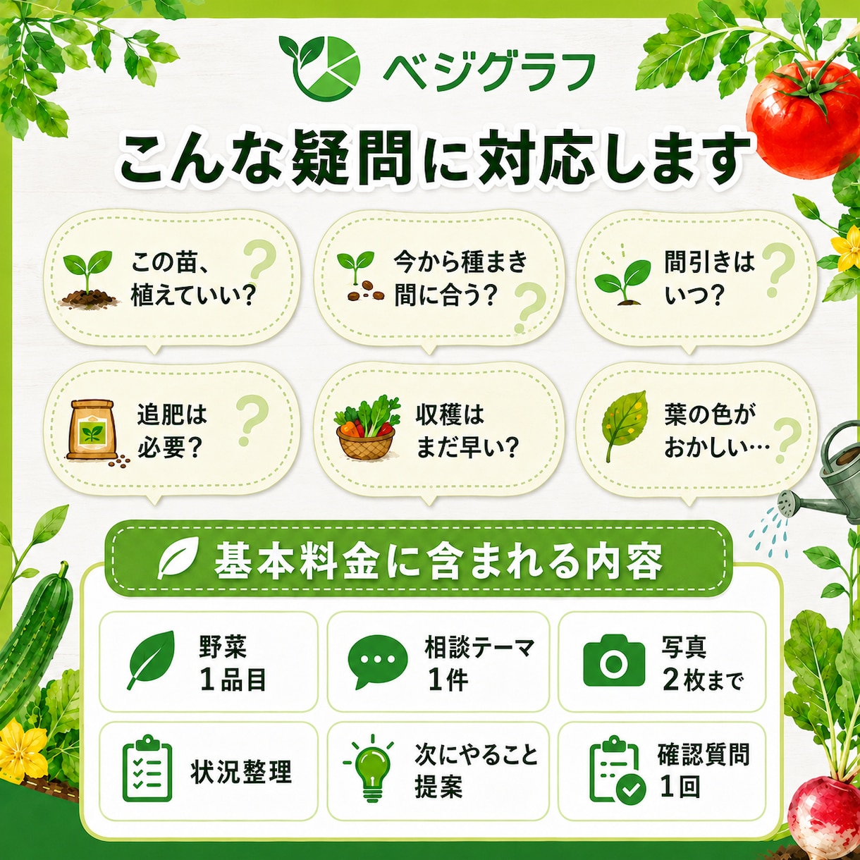 この野菜、今から間に合うか現役農家が判定します 野菜1品目の状況を整理し、次に行う作業を提案します イメージ2
