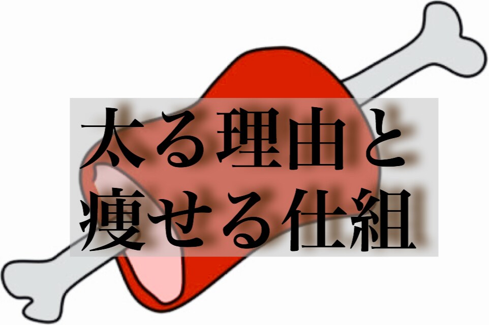 簡単！-15kgの健康ダイエットと仕組を教えます 痩せたい人★『食べても痩せる』体験談■運動なし、ストレスなし イメージ3