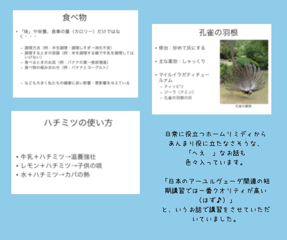日本唯一専門家がシッダ医学を解き明かします 首席卒が紐解く、12000年の古代南インド医学入門テキスト イメージ5