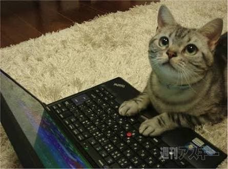 データ入力やデータ処理、お手伝いします 猫の手も借りたい、忙しいそこのあなたをお手伝いします！ イメージ1
