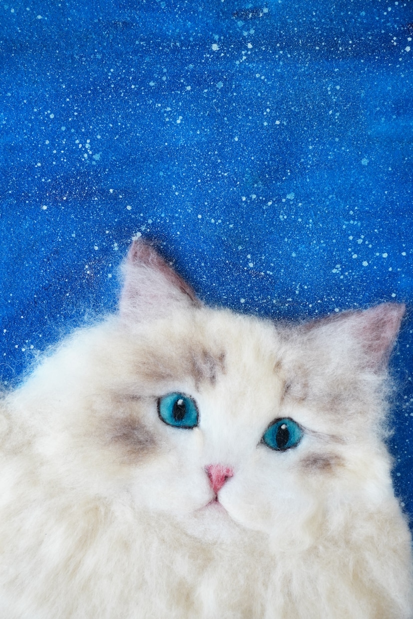 羊毛画であなたの猫ちゃんをそっくりに作ります どこにもない平面の羊毛アート！A4(21.1×29.8cm) イメージ7