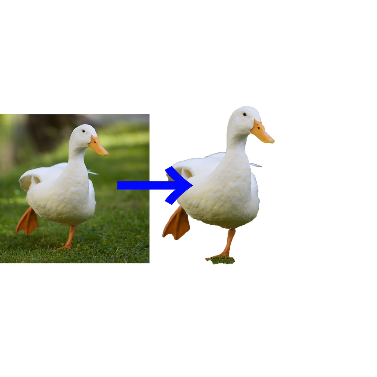 写真画像をPhotoshopで切抜き致します Webサイトなどで使用する画像の切り抜きをお手伝いします。 イメージ1