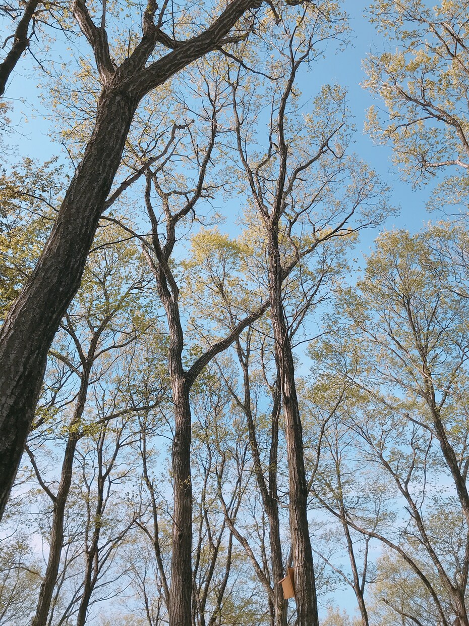 放デイ職員が寄り添います 当事者家族、きょうだい児でもある放デイ職員です。 イメージ1