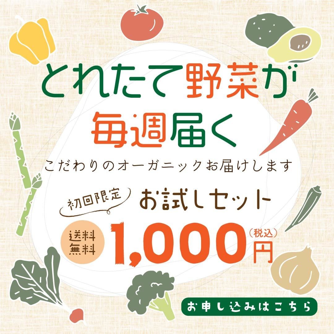 バナー・ヘッダー・インスタ用画像など制作いたします ＼＼”寄り添う”デザイン／／であなたの想いを伝えます♫ イメージ7