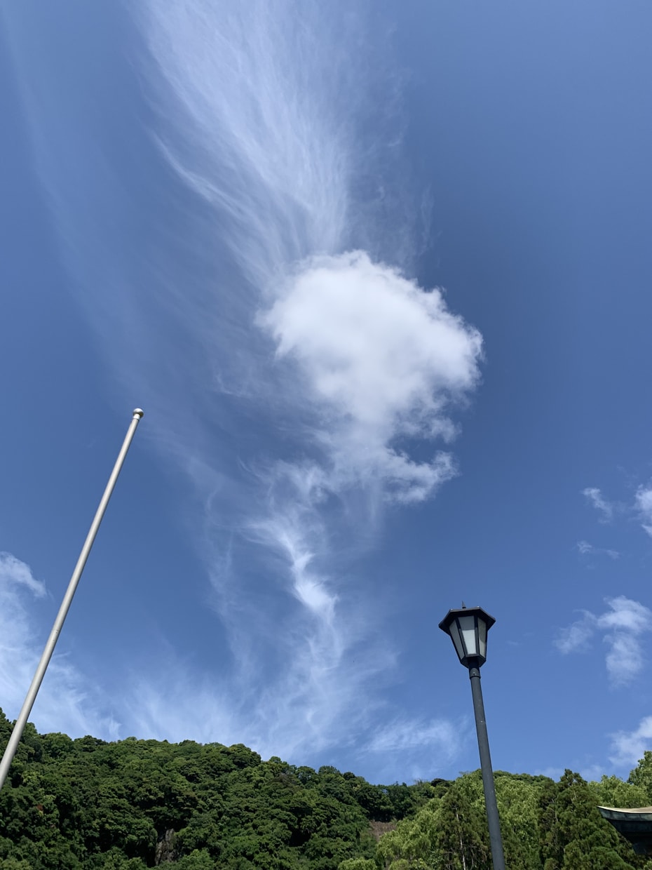 相手の本音が分かる算命学×タロット恋愛鑑定行います 相手の気持ちと次の一手が見えて心が軽くなる、恋愛鑑定安心感！ イメージ6