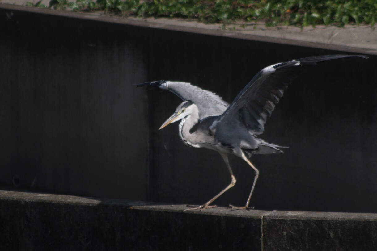 撮影します 素材写真を撮影して提供します。 イメージ10