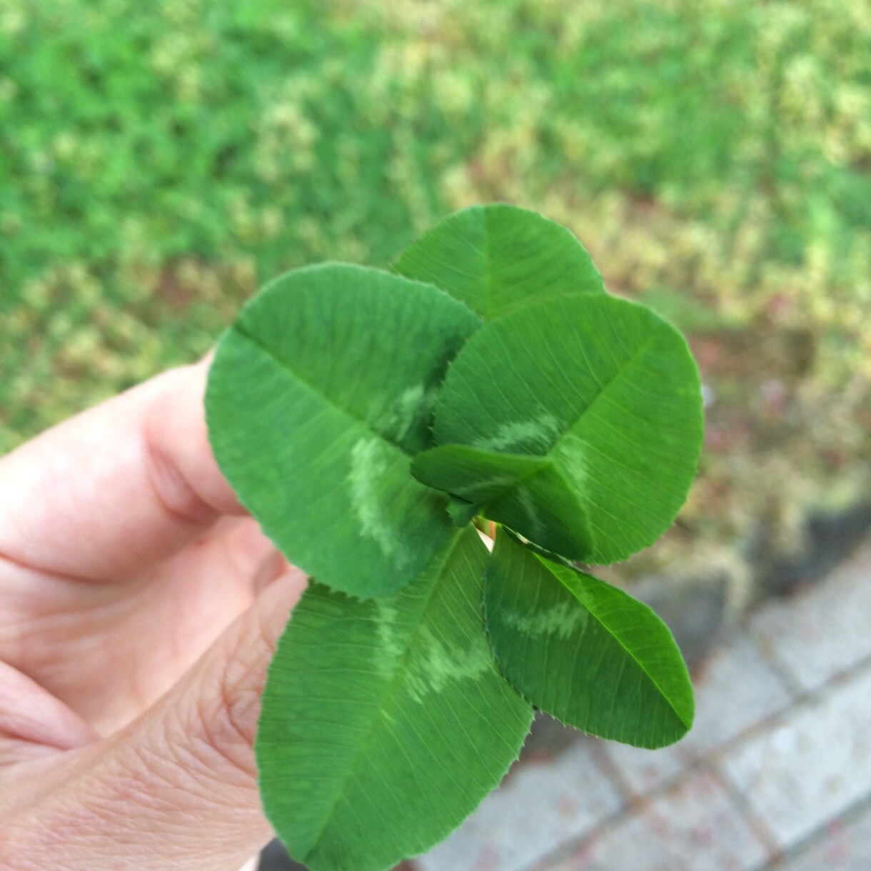 あなたが必要とするメッセージを伝えます 行動するかどうか迷ってるあなた イメージ1