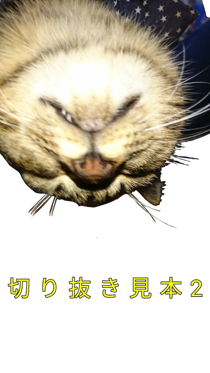 初期納品は約4日:写真の背景を消します フォトスタンプ用等に、写真を加工します イメージ4