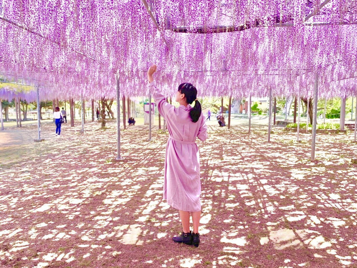 映える九州の旅プラン作成します 美しい景色や驚きの体験など映える旅を紹介します イメージ3