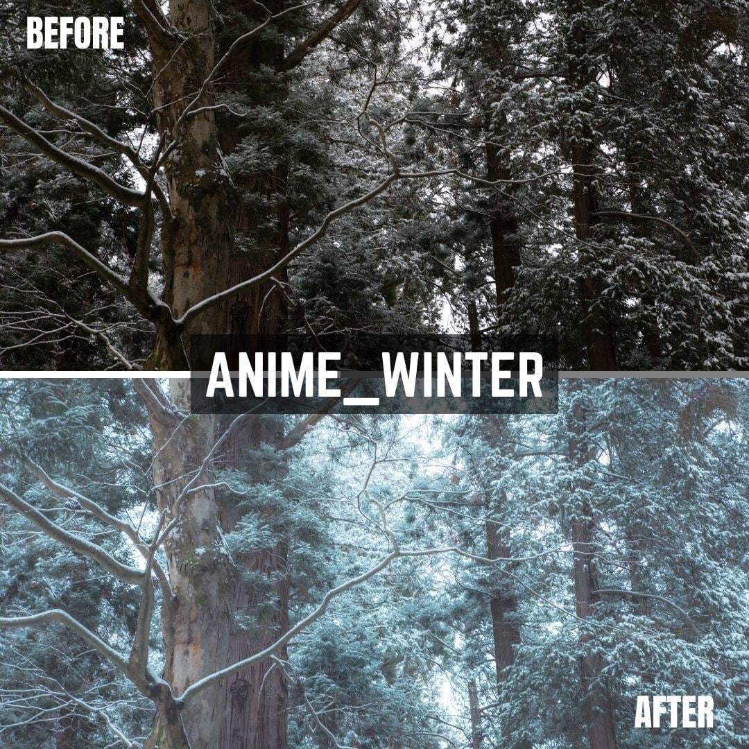 ANIME Lightroomプリセット販売します スマホで撮影した写真、ワンタッチで大変身！ イメージ9