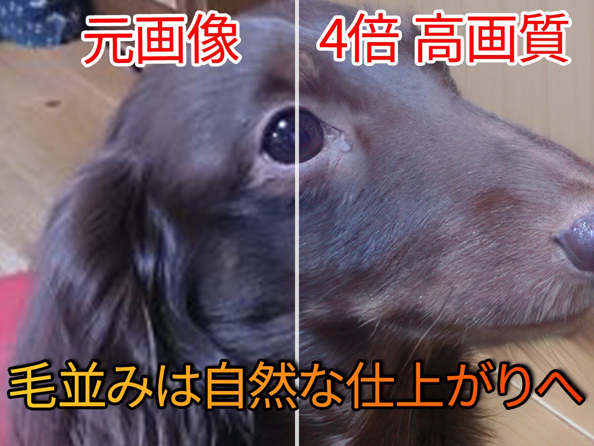 大切なあの子の思い出を、高画質化します 写真のあの子、ぼやけたまま残しますか？ イメージ3