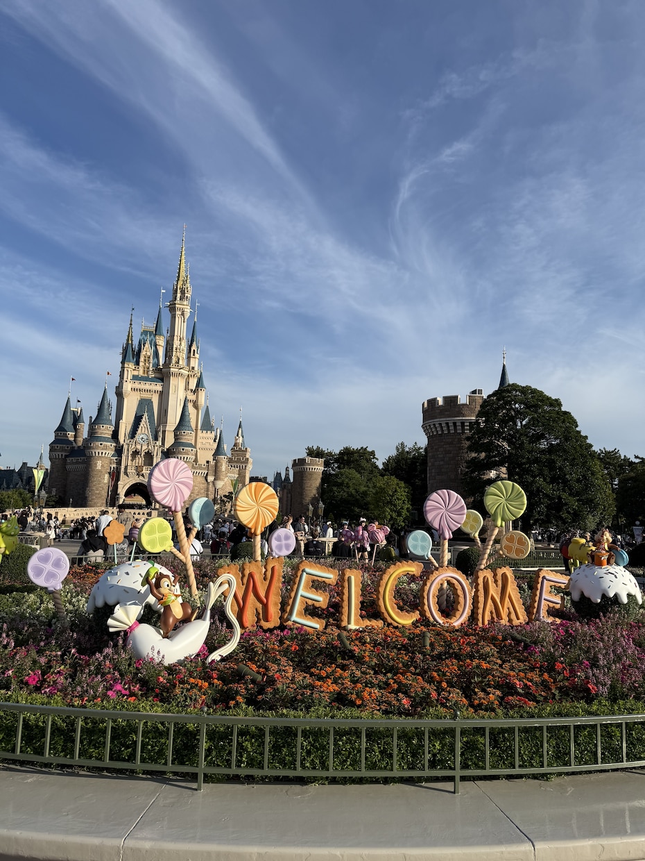 当日ディズニー回り方をコンサルティングします パーク入園後、待ち時間や天候を配慮した最適解をお伝え！ イメージ2