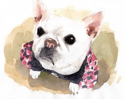 猫の可愛いイラスト描きます 癒し系のペットイラスト描きます。 イメージ3