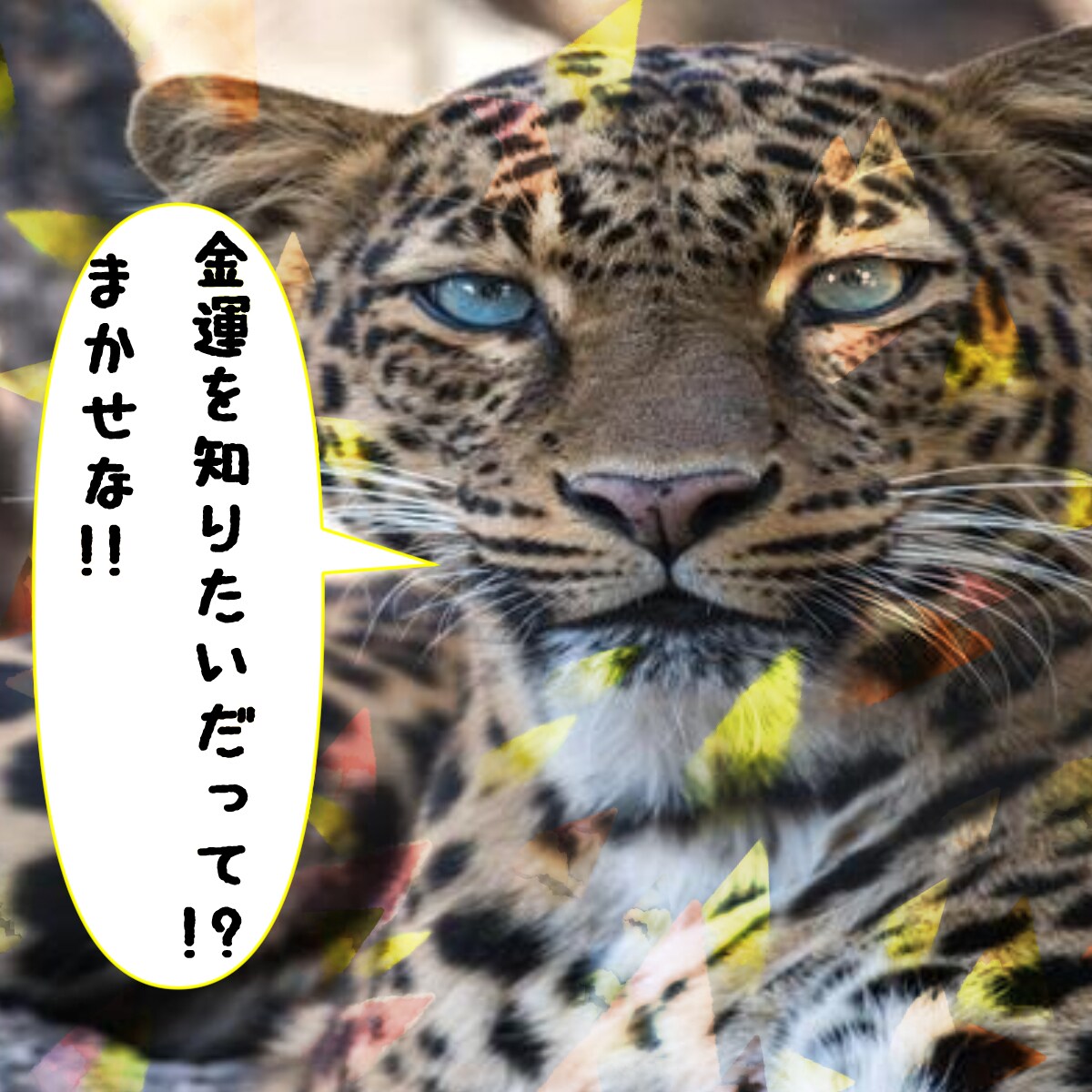 一週間質問し放題!霊感タロットで不安を取り除きます 毎日の悩みや迷いをお気軽に相談!寄り添い鑑定で徹底サポート! イメージ6