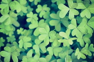 前向きになりたい方！お話し聞きます 悩んでる、身近な人には話せない悩みを聞きます！ イメージ1