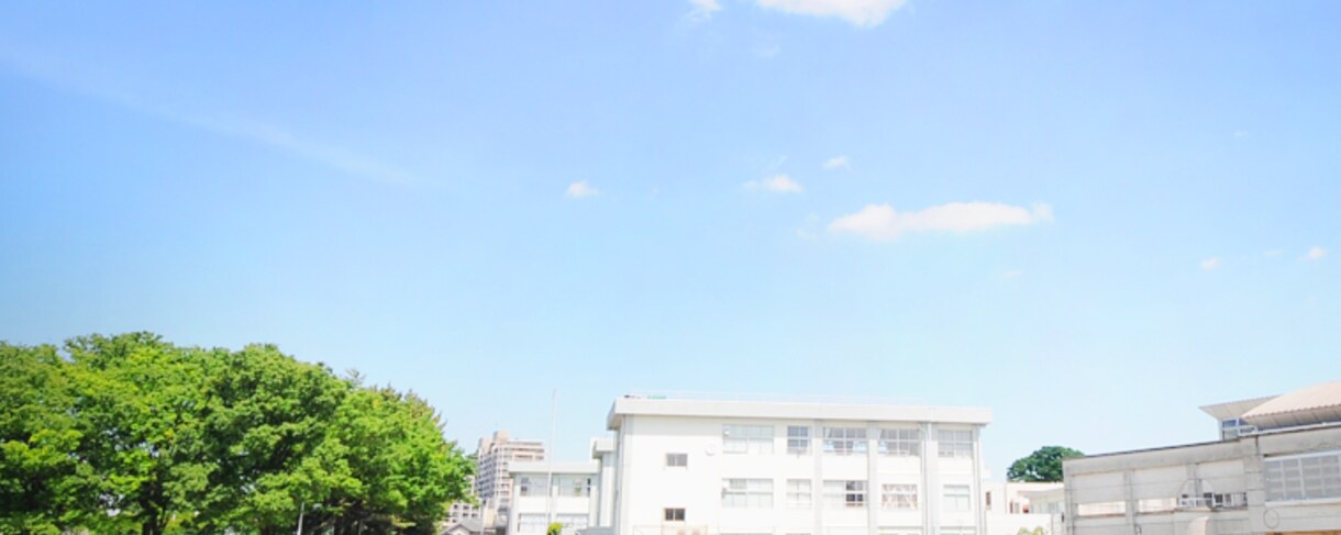 お試し 学芸大附属世田谷中学の出題分析を提供します 問題分析の他、試験時間の使い方から、取り組む問題の順序など イメージ1