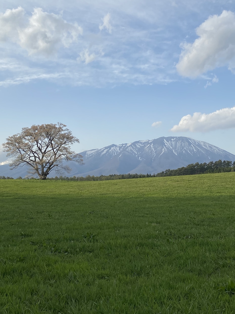 岩手県の旅行プランをつくります 岩手県を旅行するなら私がプランをお作りします イメージ2