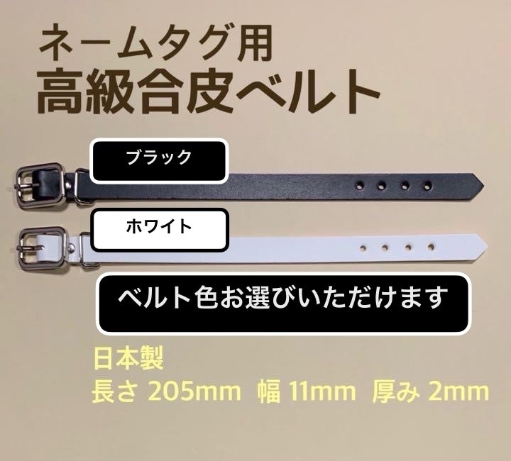 ネームタグ・ゴルフバックにオススメ　お名前入ります イニシャルを大きく配置しています イメージ5