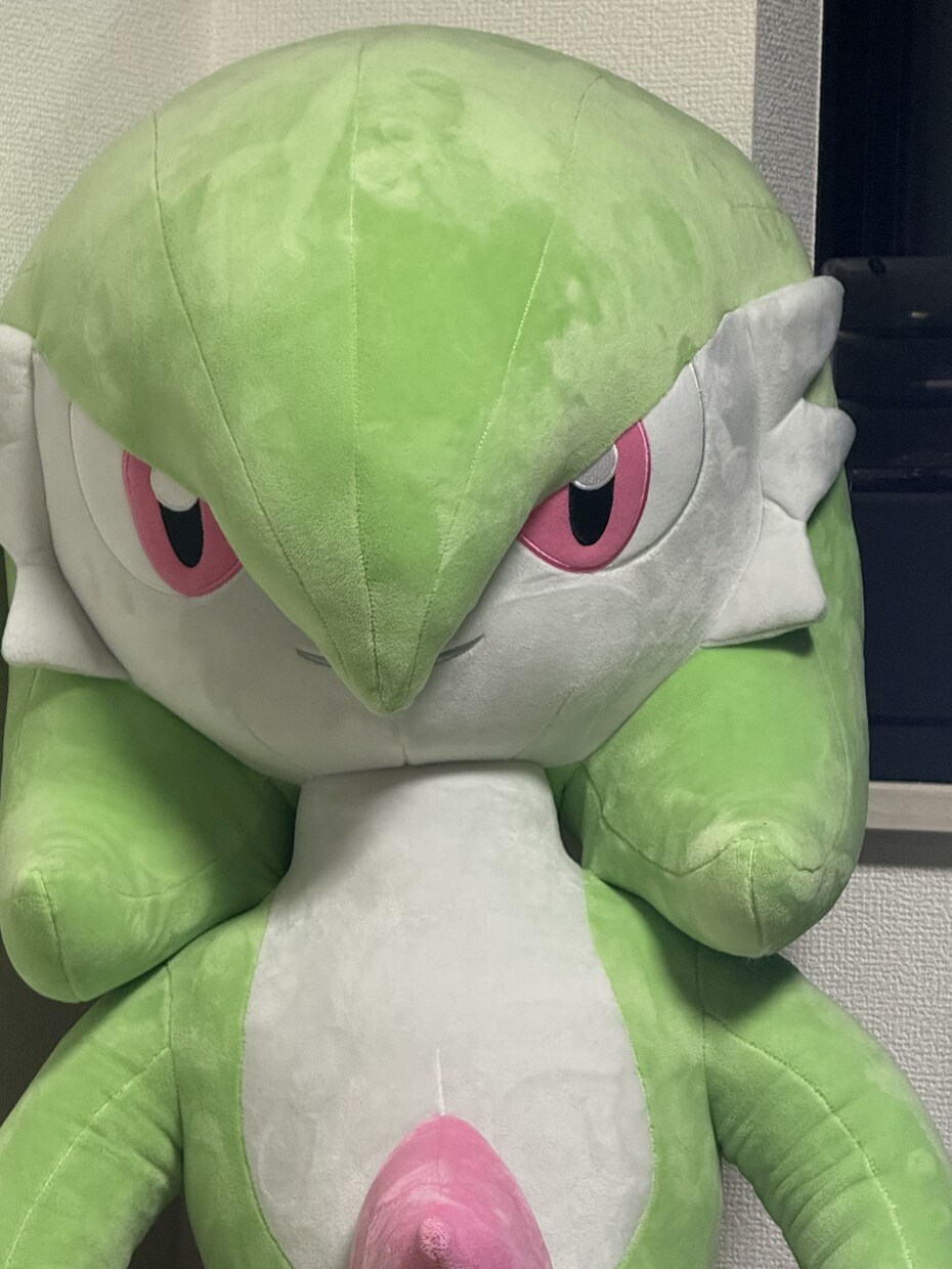 雑談・会話しながらポケモン対戦付き合います 友達感覚でゆるく対戦しましょう！ イメージ1