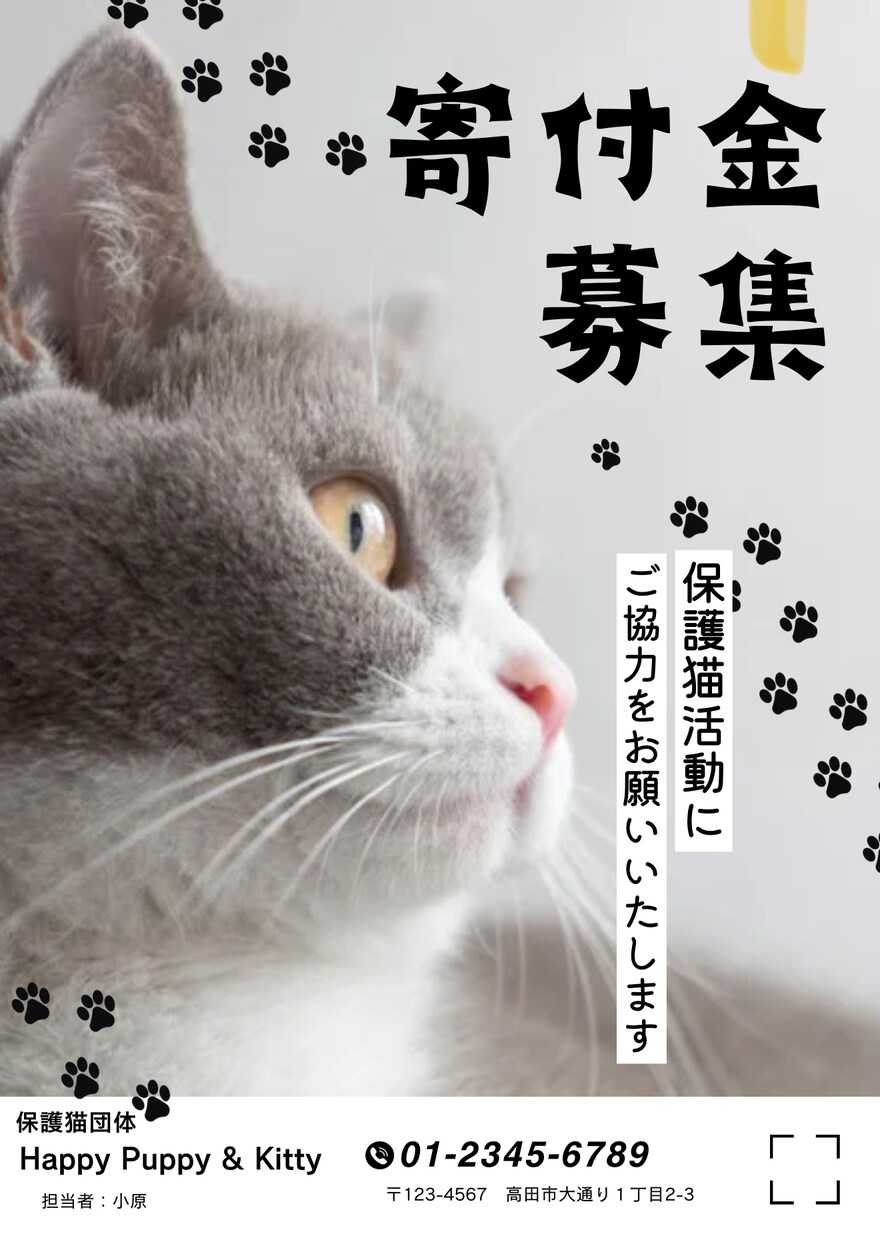 デザイナー歴15年・整う美しいチラシ制作をします “整う美しさ”で心に残るデザインを。 イメージ9