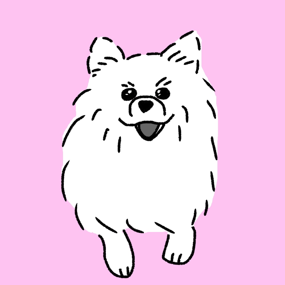 ゆるくてちょっぴり似ているペットの似顔絵を描きます かわいい家族のイラストをプレゼントやSNSアイコンにどうぞ イメージ8