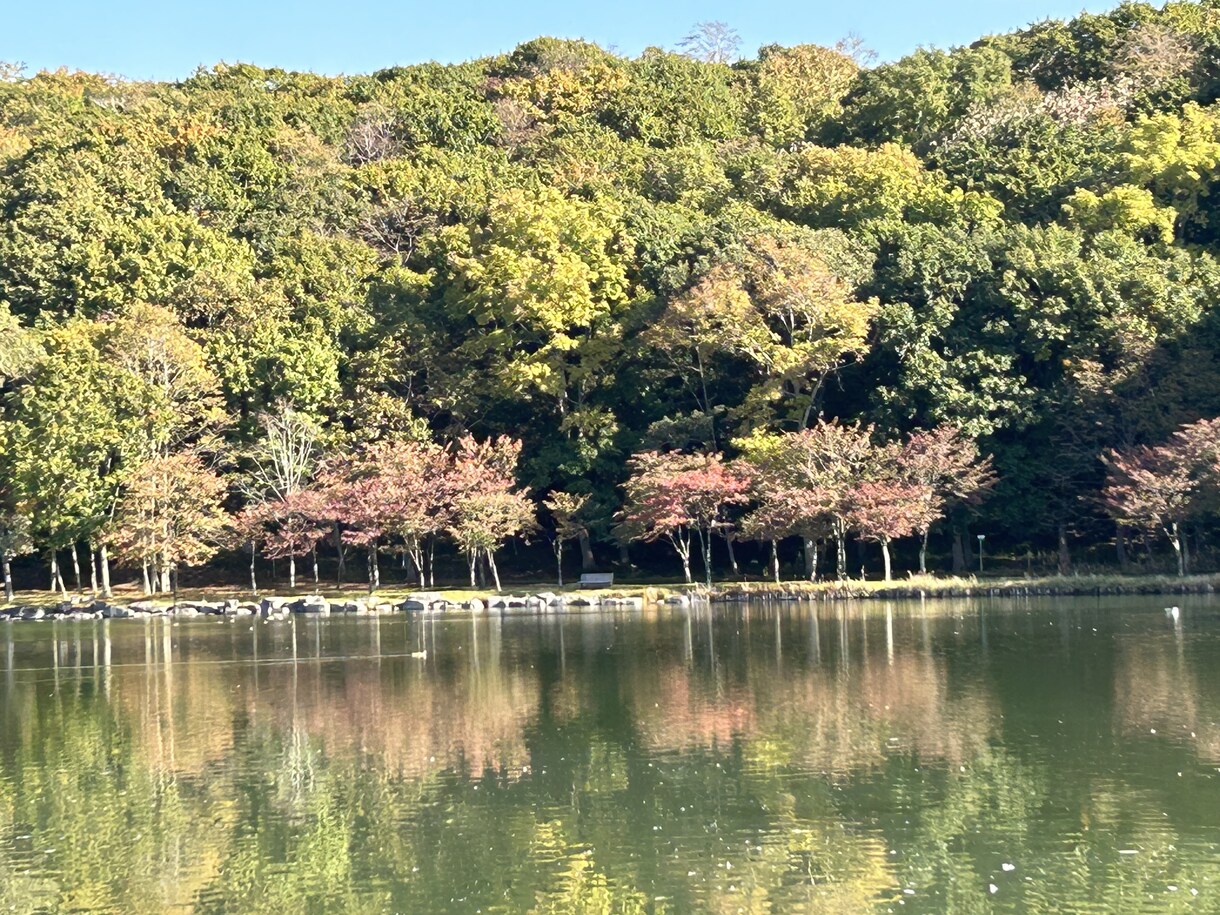 子育て全般のお悩みを傾聴させていただきます 。楽しくお子さまの未来を一緒に！ イメージ1