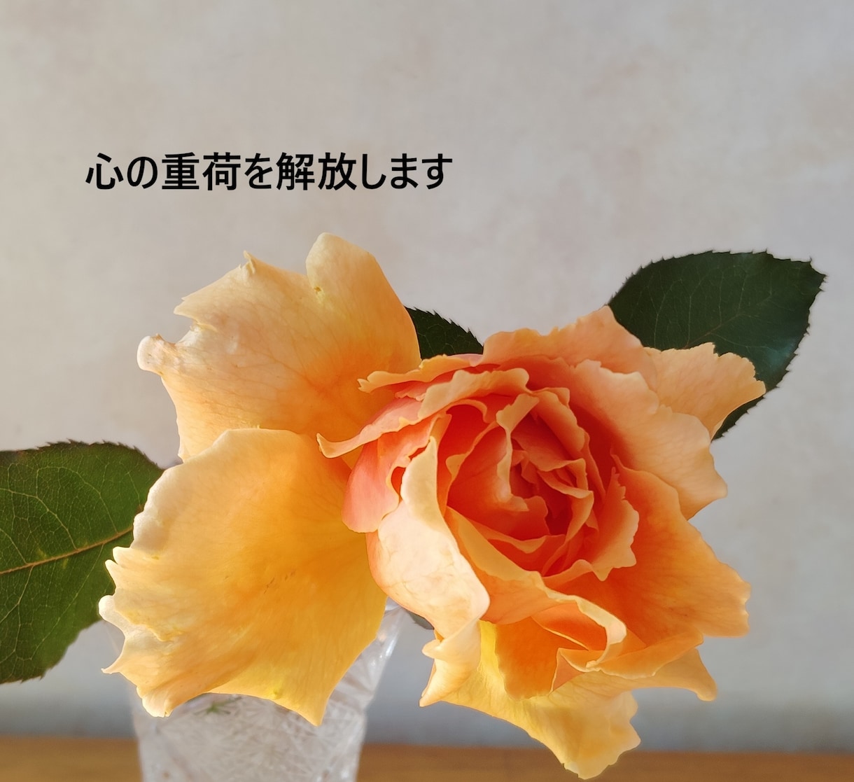 不登校、引きこもりの方の、心の重荷を解放します 心に抱えている重荷を取り除きます。学生限定 イメージ1