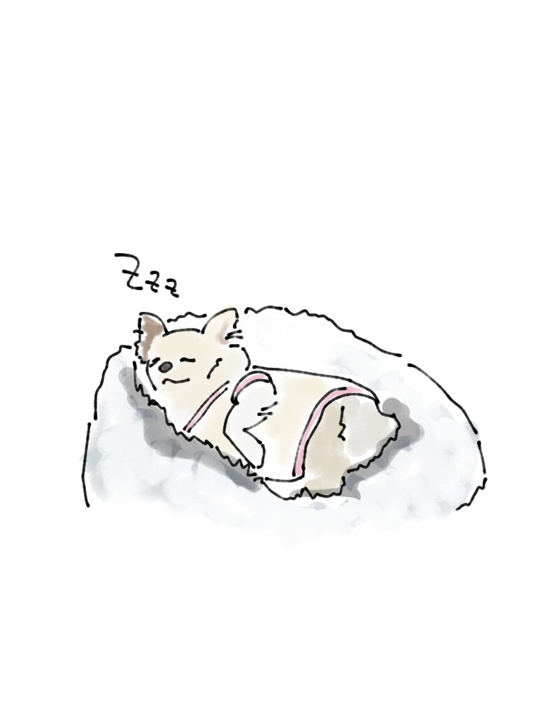 ペット、動物のイラスト描きます 可愛いうちの子描いて！という方へ イメージ8