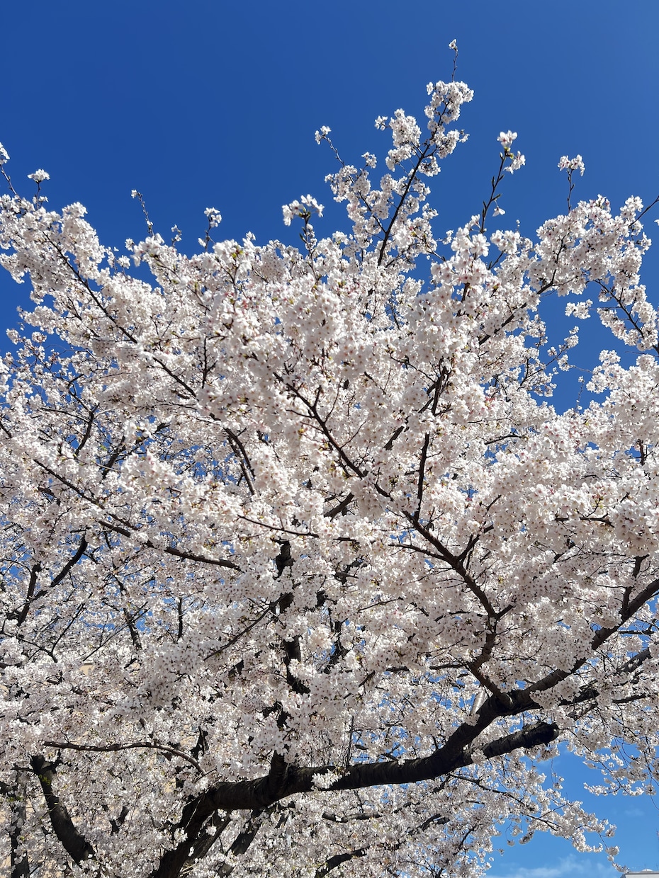 あなたの長所を見つけます 自分の長所がわからない全ての方へ イメージ1