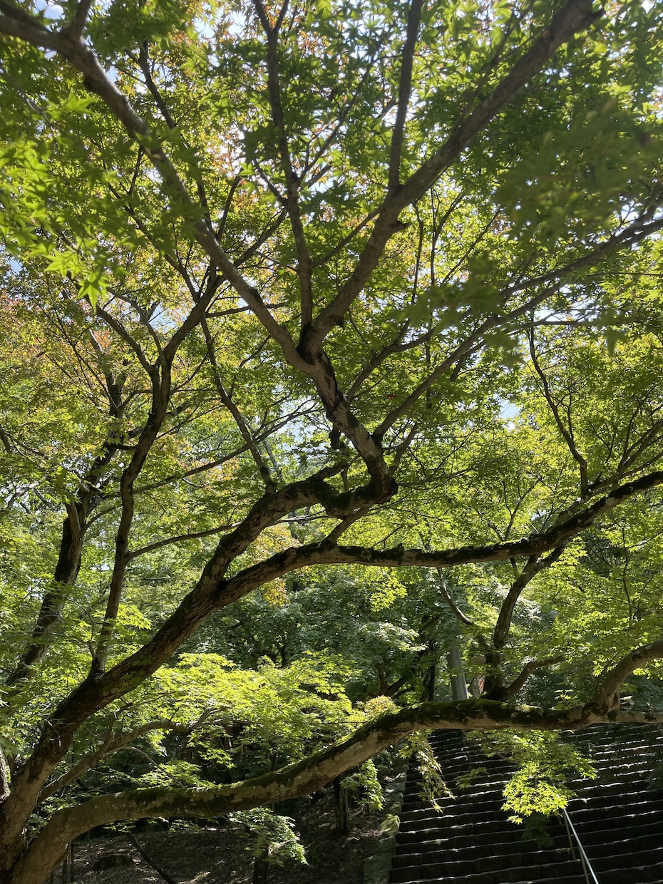 心の気持ち 迷いを聴きます 心に寄り添います。少しスッキリしてエネルギーを☺️ イメージ2