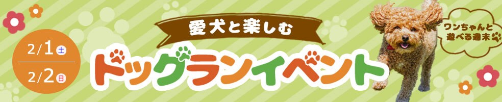 一緒に作る、想いが伝わるデザインを制作します 広告バナー、サムネイル、LINEリッチメニューなど承ります！ イメージ8