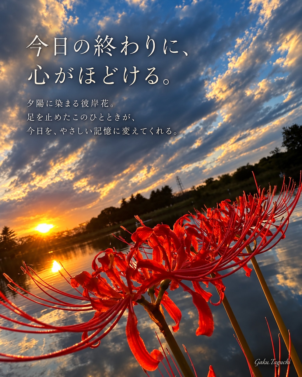 写真に物語を添えたSNS投稿画像を作ります あなたの大切な写真３枚に、心に届く言葉を添えて イメージ1