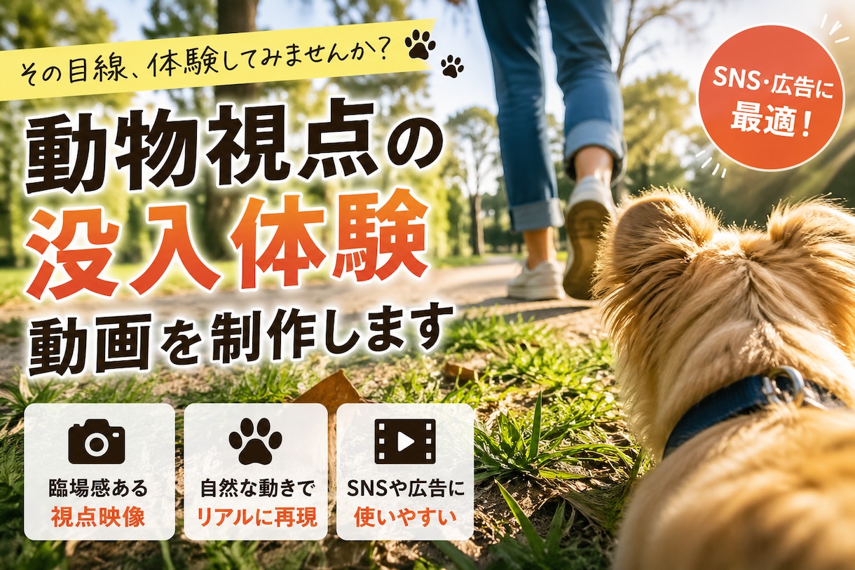 動物視点の没入体験動画を制作します 臨場感ある視点で印象に残る映像を制作します イメージ1