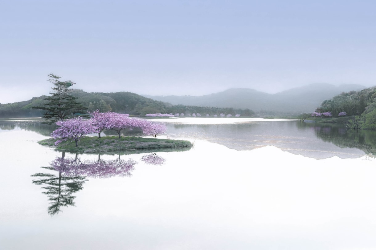 写真加工・高画質化・不要物除去など全般に対応します 写真の悩み全般を丁寧に解決しレタッチで美しく整えます イメージ4