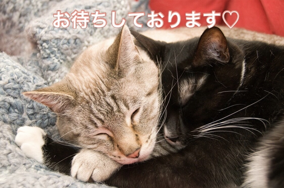 どんな話でも1分〜でもOK！お話聞きます お友達感覚でご気軽にどうぞ　なかなか人に話せない悩みなど イメージ8