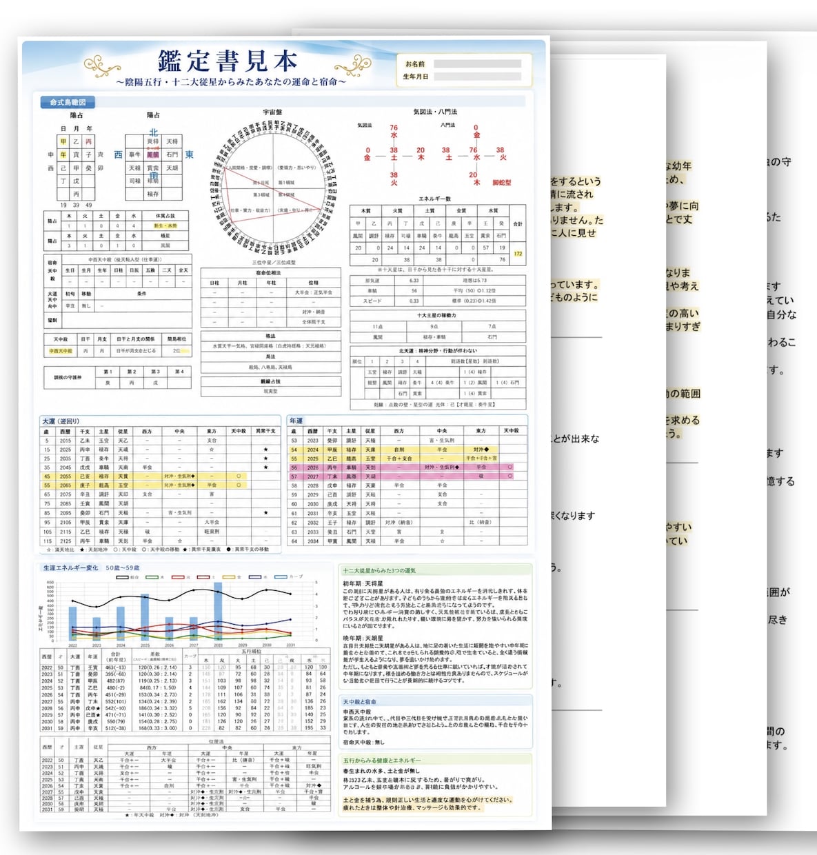 算命学であなたの宿命を鑑定します 算命学による基本鑑定です。3～6枚の鑑定書をお届けします。 イメージ2