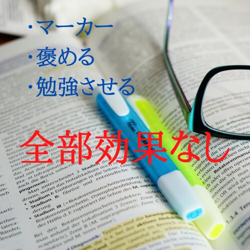 オンラインで中学生の家庭教師をします スタンフォード大学式の勉強法を教えます！ イメージ1