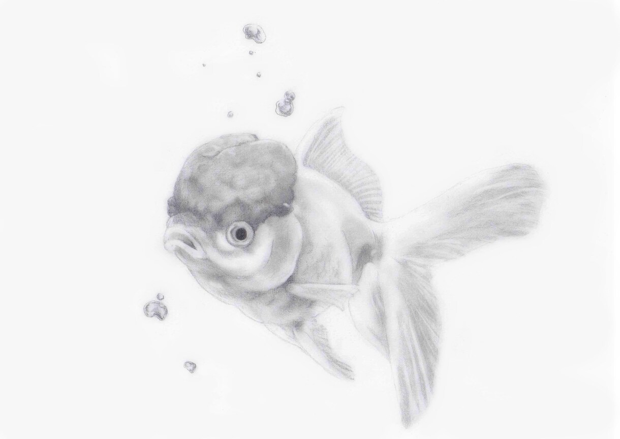 お写真をもとに鉛筆画をお描きします 大事なペットの愛すべきお顔を温かみある絵に イメージ5
