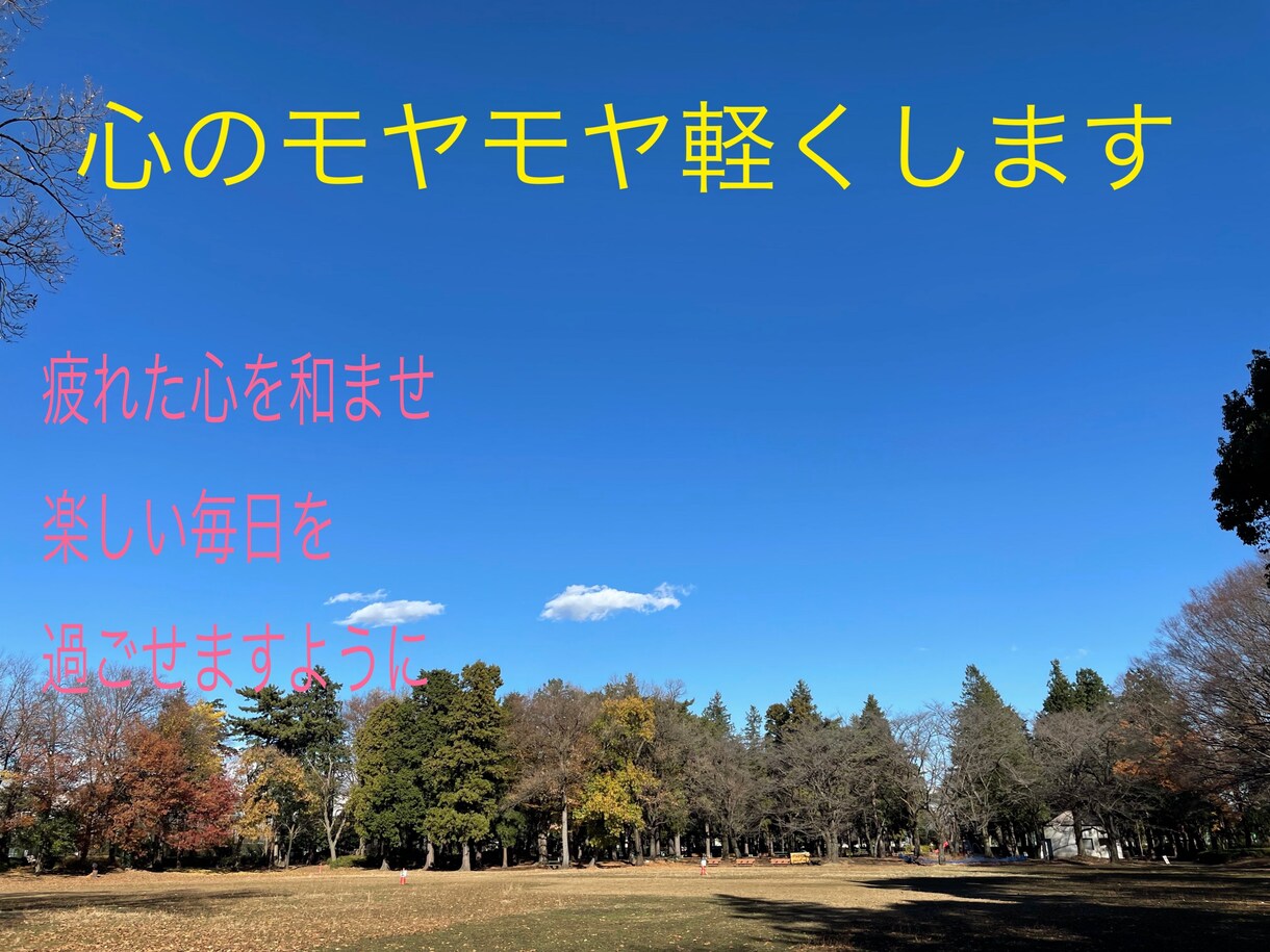 誰にも話せないモヤモヤも優しくお聞きします 疲れたこころを和ませて毎日を楽しく過ごせるお手伝いを イメージ1